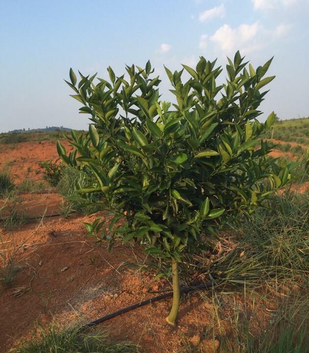 “全產(chǎn)業(yè)鏈”順應(yīng)時代發(fā)展需要
