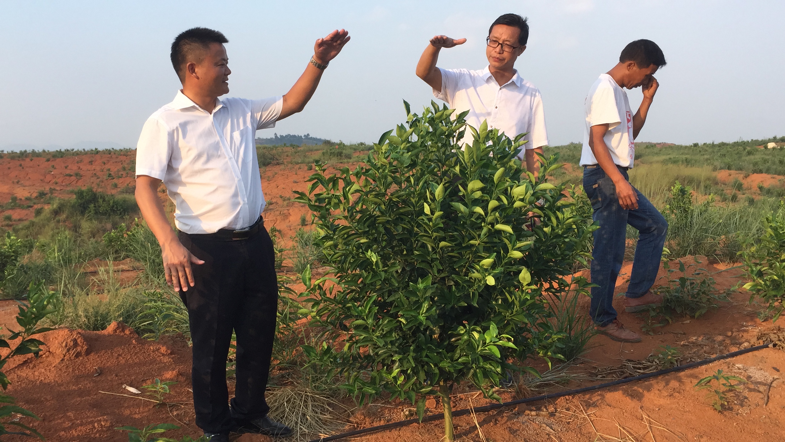 發(fā)揮龍頭企業(yè)帶動作用