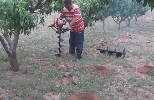 果樹鉆孔巧施肥