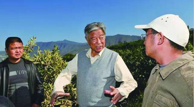 黃鐵鷹：褚橙對我震動最大，互聯(lián)網(wǎng)不能讓二流變一流