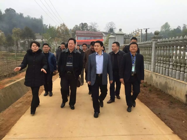 湖南樹(shù)人農(nóng)林科技有限公司,湖南柑橘品種銷售,落葉果樹(shù)類銷售,常綠果樹(shù)類哪里好