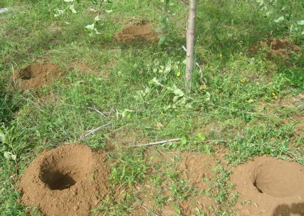 常德市萬路達(dá)物流股份有限公司,常德危險(xiǎn)品運(yùn)輸服務(wù),普貨運(yùn)輸服務(wù),物流生活服務(wù)哪里好