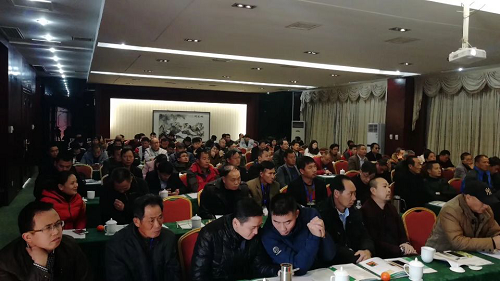 湖南樹人農(nóng)林科技有限公司,湖南柑橘品種銷售,中國果樹網(wǎng),常綠果樹類哪里好