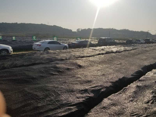 湖南樹人農(nóng)林科技有限公司,湖南柑橘品種銷售,中國果樹網(wǎng),常綠果樹類哪里好