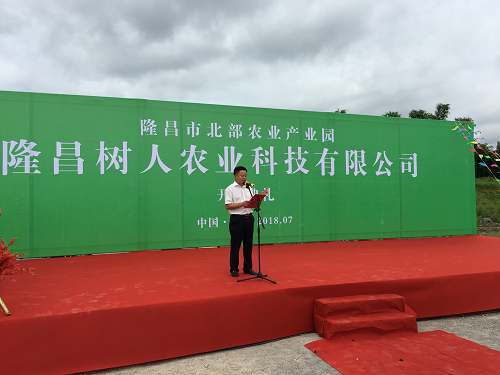 湖南樹人農(nóng)林科技有限公司,湖南柑橘品種銷售,中國果樹網(wǎng),常綠果樹類哪里好