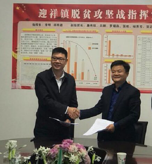 湖南樹人農(nóng)林科技有限公司,湖南柑橘品種銷售,中國(guó)果樹網(wǎng),常綠果樹類哪里好