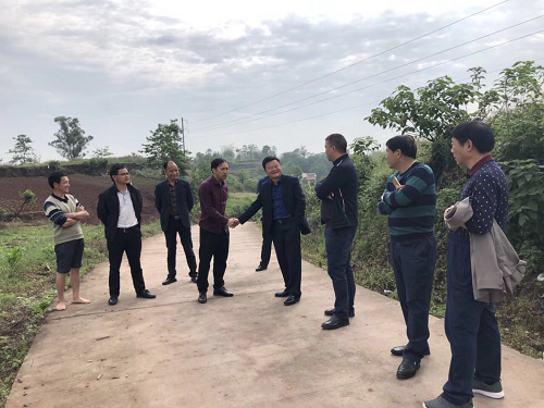 湖南樹人農(nóng)林科技有限公司,湖南柑橘品種銷售,中國(guó)果樹網(wǎng),常綠果樹類哪里好