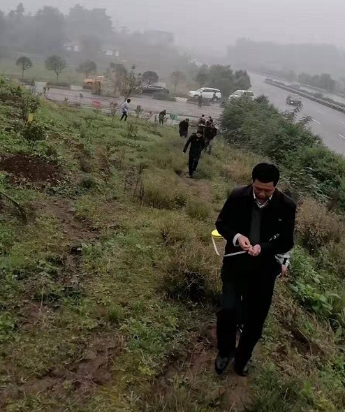 湖南樹人農(nóng)林科技有限公司,湖南柑橘品種銷售,中國(guó)果樹網(wǎng),常綠果樹類哪里好