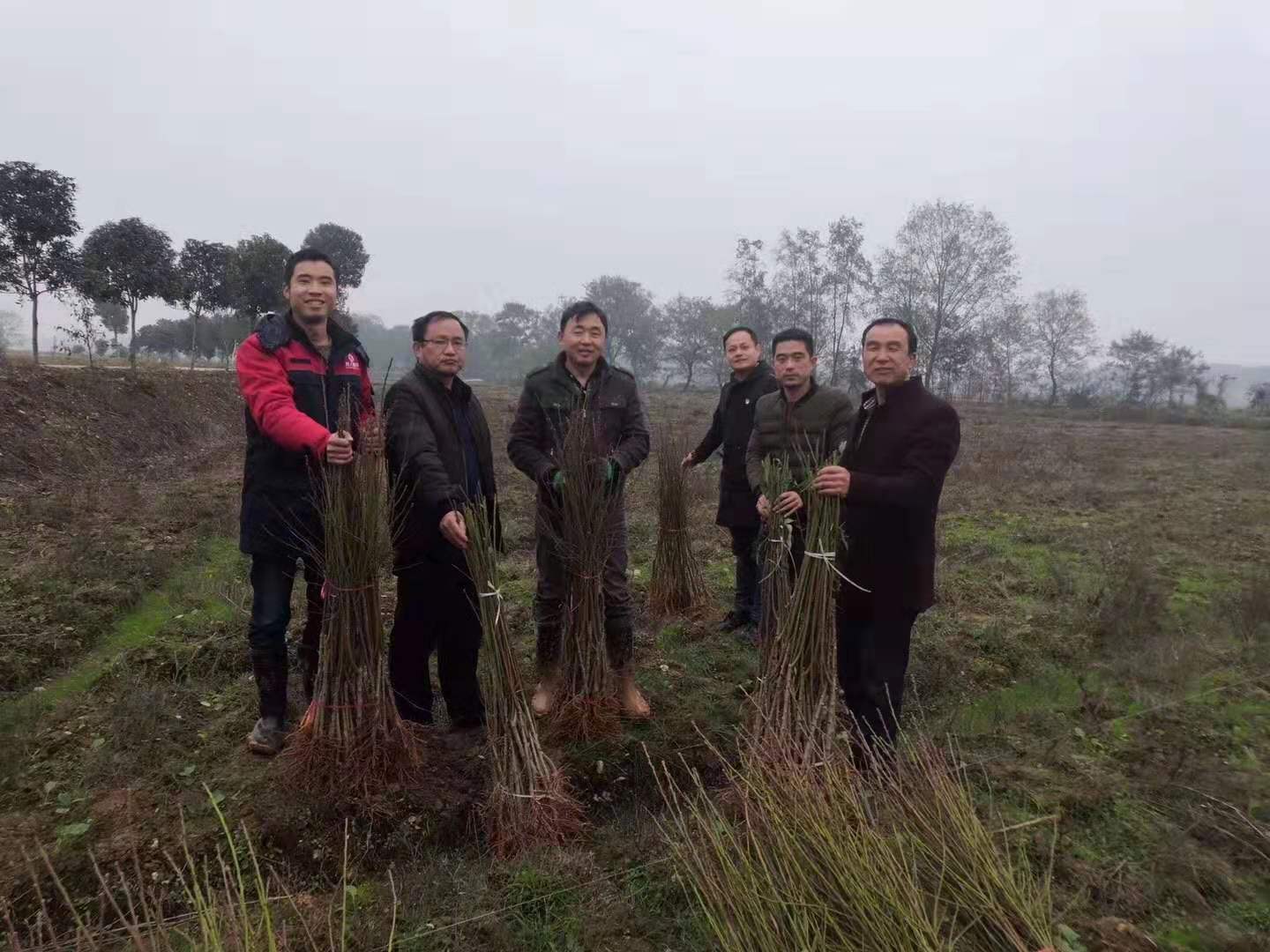 湖南樹(shù)人農(nóng)林科技有限公司,湖南柑橘品種銷(xiāo)售,中國(guó)果樹(shù)網(wǎng),常綠果樹(shù)類哪里好