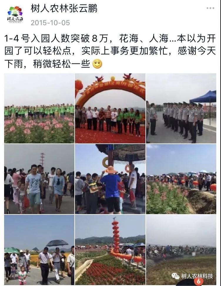 湖南樹(shù)人農(nóng)林科技有限公司,湖南柑橘品種銷(xiāo)售,中國(guó)果樹(shù)網(wǎng),常綠果樹(shù)類(lèi)哪里好