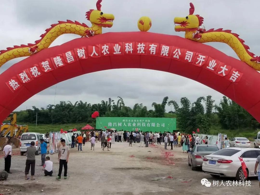 湖南樹(shù)人農(nóng)林科技有限公司,湖南柑橘品種銷(xiāo)售,中國(guó)果樹(shù)網(wǎng),常綠果樹(shù)類(lèi)哪里好