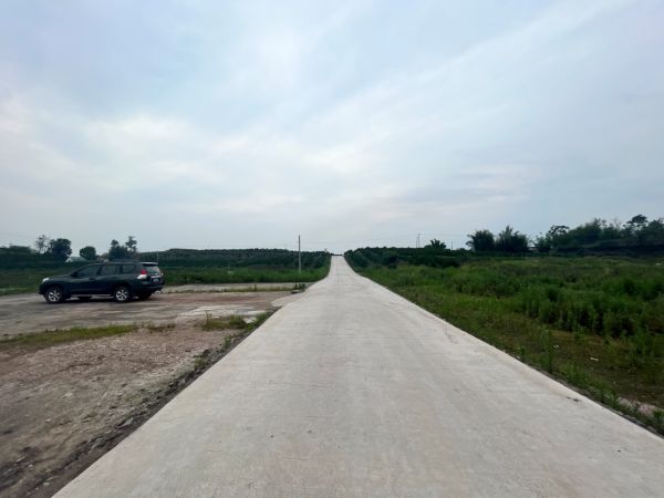 湖南樹人農(nóng)林科技有限公司,湖南柑橘品種銷售,中國果樹網(wǎng),常綠果樹類哪里好